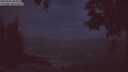 ./images/koeye/fitz-hugh/20250506/fitz-hugh20250506_050508M.jpg