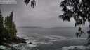 ./images/koeye/fitz-hugh/20250506/fitz-hugh20250506_061510M.jpg