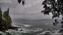 ./images/koeye/fitz-hugh/20250506/fitz-hugh20250506_063509M.jpg
