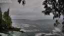 ./images/koeye/fitz-hugh/20250506/fitz-hugh20250506_064510M.jpg
