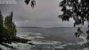 ./images/koeye/fitz-hugh/20250506/fitz-hugh20250506_065010M.jpg