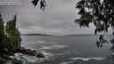 ./images/koeye/fitz-hugh/20250506/fitz-hugh20250506_070009M.jpg