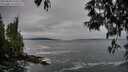 ./images/koeye/fitz-hugh/20250506/fitz-hugh20250506_070510M.jpg