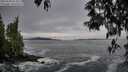 ./images/koeye/fitz-hugh/20250506/fitz-hugh20250506_073010M.jpg