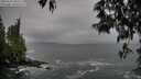 ./images/koeye/fitz-hugh/20250506/fitz-hugh20250506_093509M.jpg