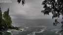 ./images/koeye/fitz-hugh/20250506/fitz-hugh20250506_094010M.jpg