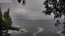 ./images/koeye/fitz-hugh/20250506/fitz-hugh20250506_095010M.jpg
