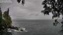 ./images/koeye/fitz-hugh/20250506/fitz-hugh20250506_102011M.jpg