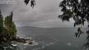 ./images/koeye/fitz-hugh/20250506/fitz-hugh20250506_103011M.jpg