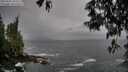 ./images/koeye/fitz-hugh/20250506/fitz-hugh20250506_105510M.jpg