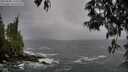 ./images/koeye/fitz-hugh/20250506/fitz-hugh20250506_110509M.jpg
