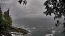 ./images/koeye/fitz-hugh/20250506/fitz-hugh20250506_164010M.jpg