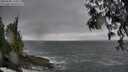 ./images/koeye/fitz-hugh/20250506/fitz-hugh20250506_170011M.jpg