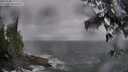 ./images/koeye/fitz-hugh/20250506/fitz-hugh20250506_171511M.jpg