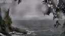 ./images/koeye/fitz-hugh/20250506/fitz-hugh20250506_172510M.jpg