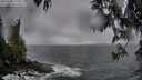 ./images/koeye/fitz-hugh/20250506/fitz-hugh20250506_175010M.jpg