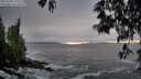 ./images/koeye/fitz-hugh/20250506/fitz-hugh20250506_193508M.jpg