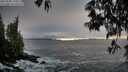 ./images/koeye/fitz-hugh/20250506/fitz-hugh20250506_194009M.jpg