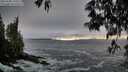 ./images/koeye/fitz-hugh/20250506/fitz-hugh20250506_194508M.jpg