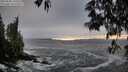 ./images/koeye/fitz-hugh/20250506/fitz-hugh20250506_195008M.jpg