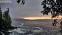 ./images/koeye/fitz-hugh/20250506/fitz-hugh20250506_202009M.jpg