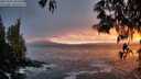 ./images/koeye/fitz-hugh/20250506/fitz-hugh20250506_205008M.jpg
