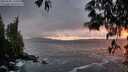 ./images/koeye/fitz-hugh/20250506/fitz-hugh20250506_210508M.jpg
