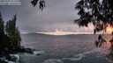 ./images/koeye/fitz-hugh/20250506/fitz-hugh20250506_211009M.jpg
