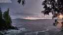 ./images/koeye/fitz-hugh/20250506/fitz-hugh20250506_211508M.jpg