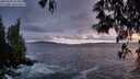 ./images/koeye/fitz-hugh/20250506/fitz-hugh20250506_212009M.jpg