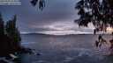 ./images/koeye/fitz-hugh/20250506/fitz-hugh20250506_213008M.jpg