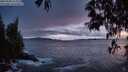 ./images/koeye/fitz-hugh/20250506/fitz-hugh20250506_213509M.jpg