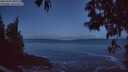 ./images/koeye/fitz-hugh/20250507/fitz-hugh20250507_050508M.jpg
