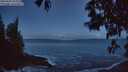 ./images/koeye/fitz-hugh/20250507/fitz-hugh20250507_051008M.jpg