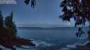 ./images/koeye/fitz-hugh/20250507/fitz-hugh20250507_051508M.jpg
