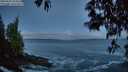 ./images/koeye/fitz-hugh/20250507/fitz-hugh20250507_052009M.jpg