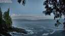 ./images/koeye/fitz-hugh/20250507/fitz-hugh20250507_053009M.jpg