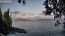 ./images/koeye/fitz-hugh/20250507/fitz-hugh20250507_060011M.jpg