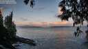 ./images/koeye/fitz-hugh/20250507/fitz-hugh20250507_061509M.jpg