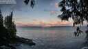 ./images/koeye/fitz-hugh/20250507/fitz-hugh20250507_062010M.jpg