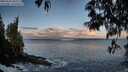 ./images/koeye/fitz-hugh/20250507/fitz-hugh20250507_063510M.jpg