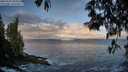 ./images/koeye/fitz-hugh/20250507/fitz-hugh20250507_065010M.jpg