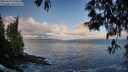 ./images/koeye/fitz-hugh/20250507/fitz-hugh20250507_070009M.jpg