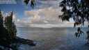 ./images/koeye/fitz-hugh/20250507/fitz-hugh20250507_072010M.jpg