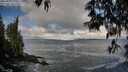 ./images/koeye/fitz-hugh/20250507/fitz-hugh20250507_074010M.jpg