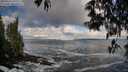 ./images/koeye/fitz-hugh/20250507/fitz-hugh20250507_075010M.jpg