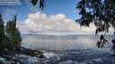 ./images/koeye/fitz-hugh/20250507/fitz-hugh20250507_081010M.jpg