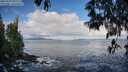 ./images/koeye/fitz-hugh/20250507/fitz-hugh20250507_081511M.jpg