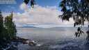 ./images/koeye/fitz-hugh/20250507/fitz-hugh20250507_082011M.jpg