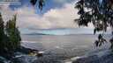 ./images/koeye/fitz-hugh/20250507/fitz-hugh20250507_083510M.jpg